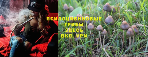 бутират Алзамай